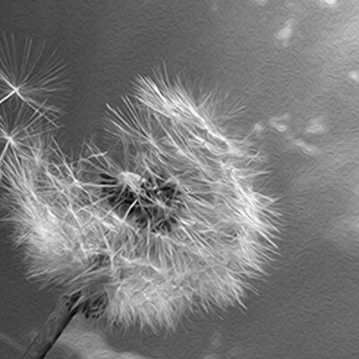 Disconnect And Start Appreciating Life