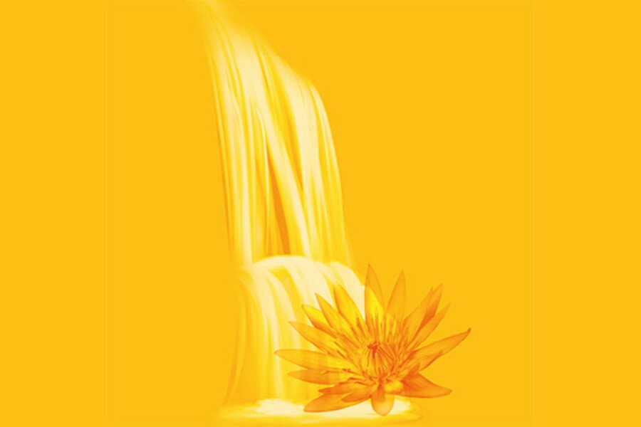 Sri Aurobindo The Philosopher