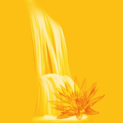 Sri Aurobindo The Philosopher