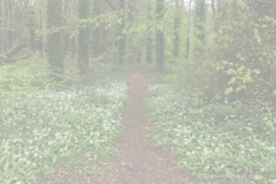 The Noble Eightfold Path