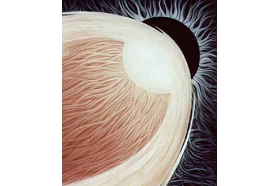 Understanding Sanatan Dharma