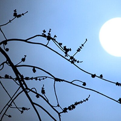 गुरु पूर्णिमा