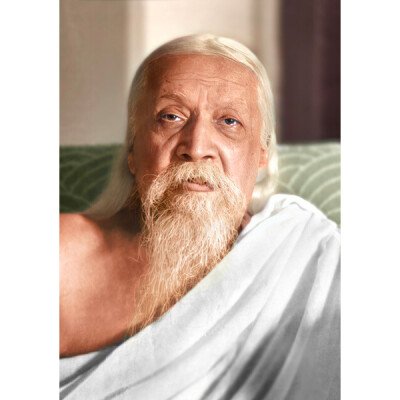Sri Aurobindo