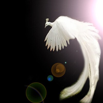 The Future of Religion