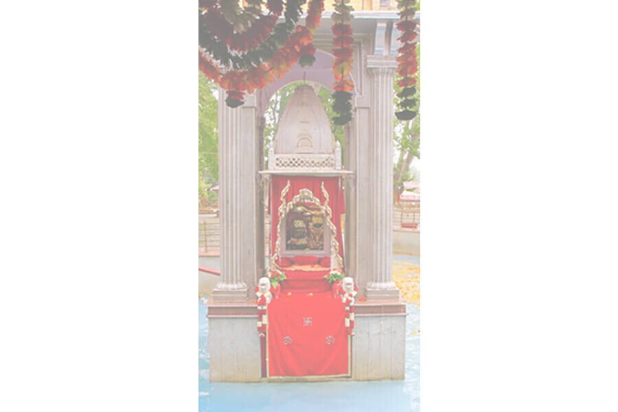 Swamiji And The Mother